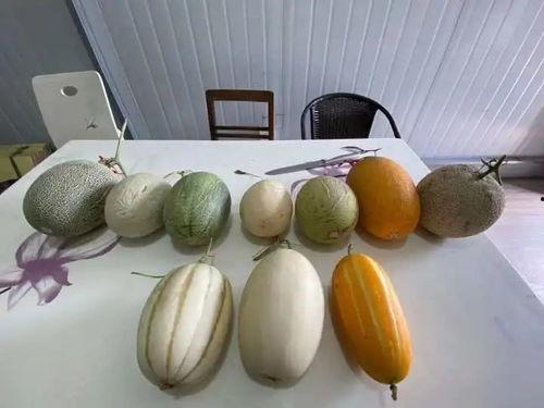 杭州6男吃瓜,共享夏日闲情逸致