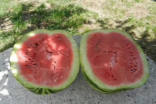 梦见来客人吃瓜了,来客吃瓜背后的神秘寓意