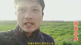 表哥苍玄吃瓜,揭秘娱乐圈背后的那些事儿