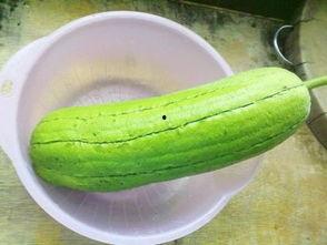 水瓜宝宝可以吃,营养丰富的婴幼儿辅食新选择