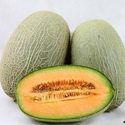 夏日吃哈密瓜头像,甜蜜解暑，尽享瓜香时光