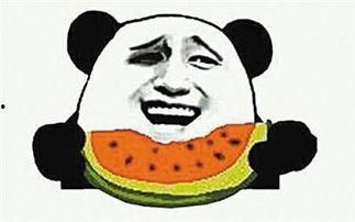 爱酱吃瓜,揭秘娱乐圈那些不为人知的幕后故事