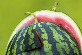 连续吃瓜吐了,揭秘背后的健康隐患