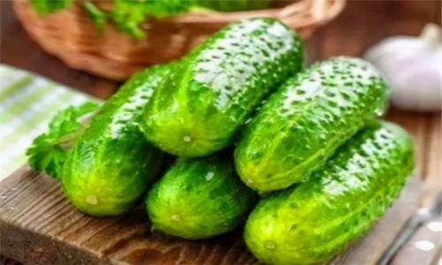 豹纹女士吃瓜,一场吃瓜界的狂欢盛宴