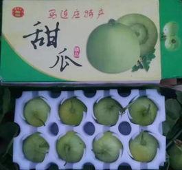 吃羊角瓜胃疼,美味与胃疼的微妙平衡