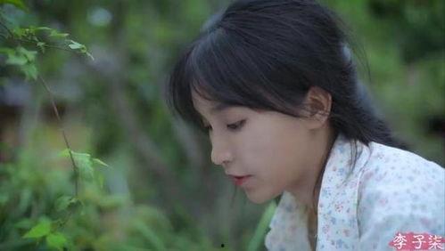 吃瓜视频李子柒,田园生活与美食艺术的完美融合