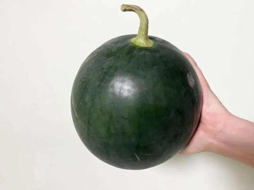 什么叫吃大瓜,吃大瓜背后的真相与内幕