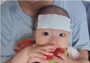 发烧可以吃蓝瓜,发烧时的天然退烧佳品