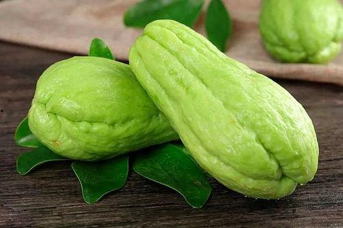 养崽吃瓜日常,瓜田里的欢乐时光