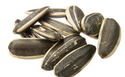 听瓜吃瓜子,听瓜吃瓜子的趣味生活体验