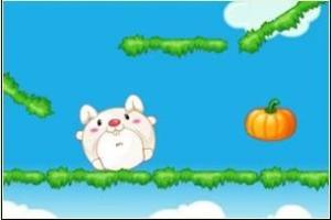 兔子吃黄色瓜,兔子偏爱黄色瓜果的奇妙食趣