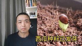 情侣吵架电梯吃瓜群众,吃瓜群众围观成现场焦点