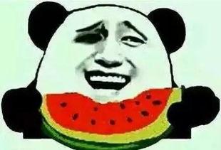 夏天来了吃瓜群众,吃瓜群众欢乐多