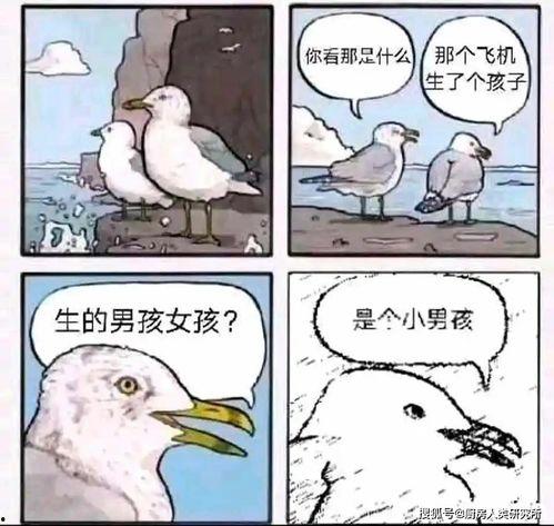 影响我拔刀的速度 吃瓜,揭秘影响拔刀速度的神秘因素