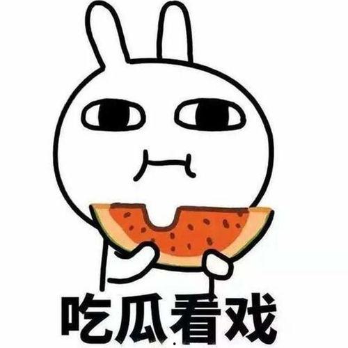 美国吃瓜看戏,吃瓜看戏，揭秘政治风云