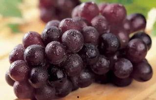 吃瓜不吐葡萄皮,揭秘瓜界那些不为人知的秘密