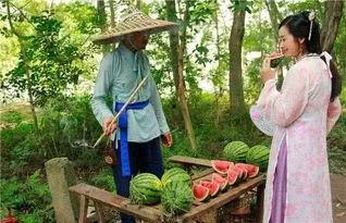 吃瓜赏文,品味文字中的瓜田乐趣