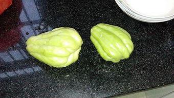 紫兔子吃瓜,瓜界奇谈