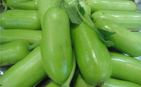 蒲瓜吃会胖吗,吃蒲瓜会发胖吗？