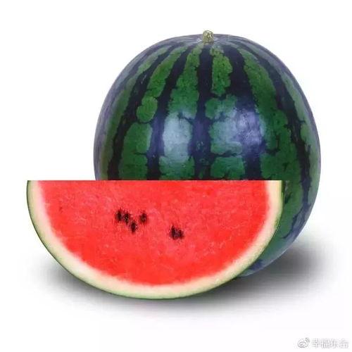 吃瓜网今日吃瓜必吃51,今日必吃51，带你领略娱乐圈最新热点  第2张