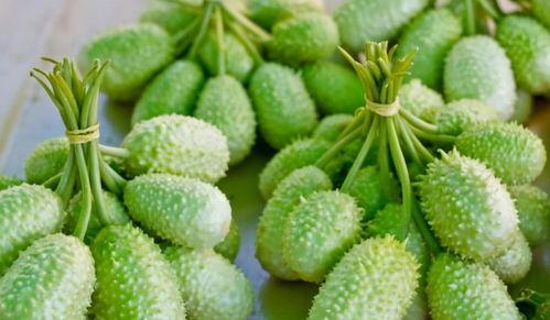 世界吃瓜排名,揭秘各国瓜果爱好者的独特品味