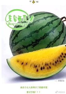 世界吃瓜排名,揭秘各国瓜果爱好者的独特品味  第2张