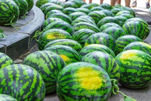 在书里吃瓜,一场别开生面的阅读盛宴  第2张