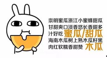 只想睡觉吃瓜  第2张