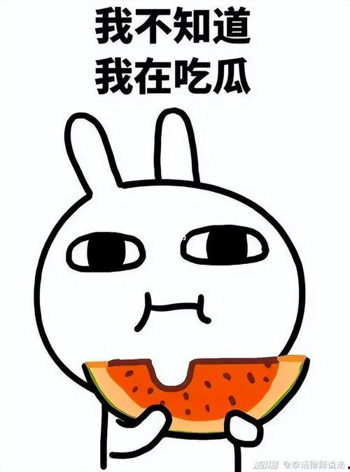 吃瓜大嘴浪哥,揭秘娱乐圈幕后故事  第2张