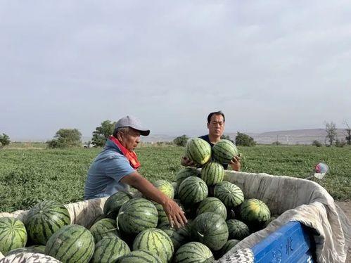 上饶师范吃瓜  第2张