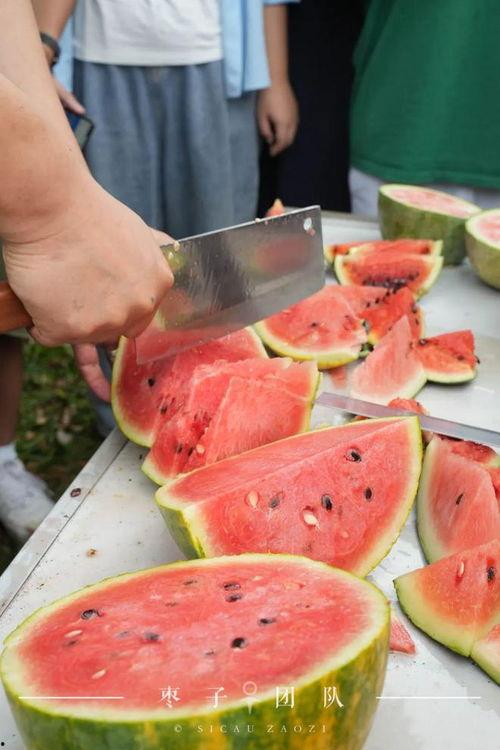 吃自己同学的瓜,揭秘同学间的那些秘密  第3张