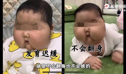 吃瓜的崽儿,揭秘娱乐圈幕后故事