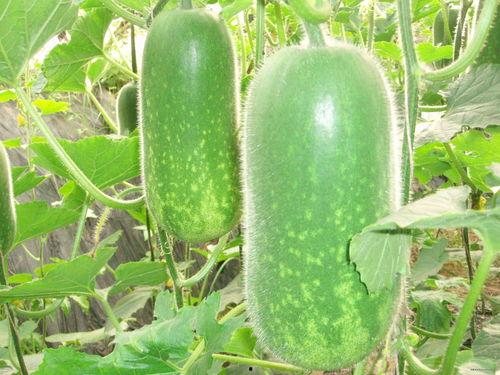 吃瓜爆料每日大瓜讲述,吃瓜爆料每日大瓜精彩回顾  第1张