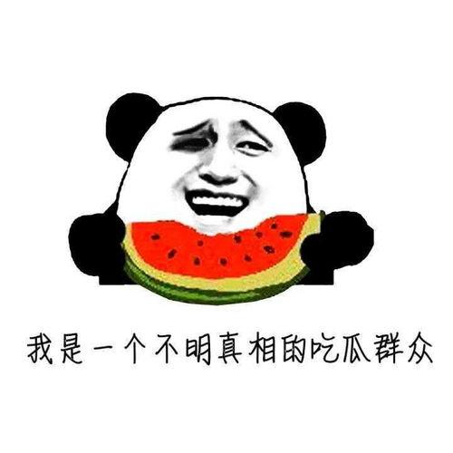 吃瓜头像胖子  第3张