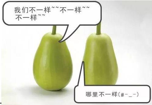 埃安吃瓜  第3张