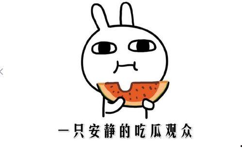 吃瓜抖音微信,揭秘网络社交的趣味与争议”