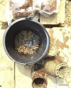 普洱吃瓜群众  第2张