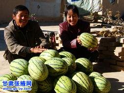 左宗棠围着火炉吃瓜  第3张