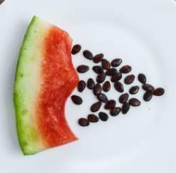 吃瓜不吃籽儿  第3张