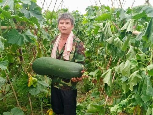 在线劲爆吃瓜,揭秘娱乐圈最新热点事件  第2张