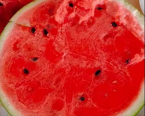 胃炎可以吃伏瓜么,胃炎患者适宜食用伏瓜的探讨  第3张