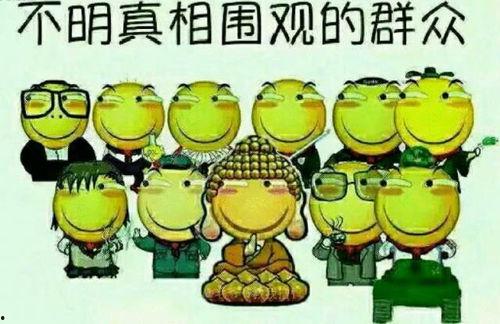 吃瓜群众发言集锦,网络发言集锦背后的社会现象解析