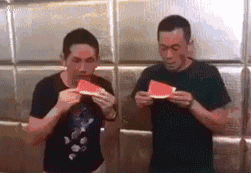 涅普吃瓜GIF,网络爆笑瞬间，带你领略欢乐时光