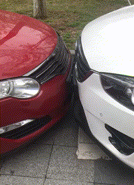 涅普吃瓜GIF,网络爆笑瞬间，带你领略欢乐时光  第3张