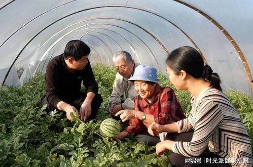 许昌疫情吃瓜拍照图片,吃瓜拍照，记录特殊时刻  第3张